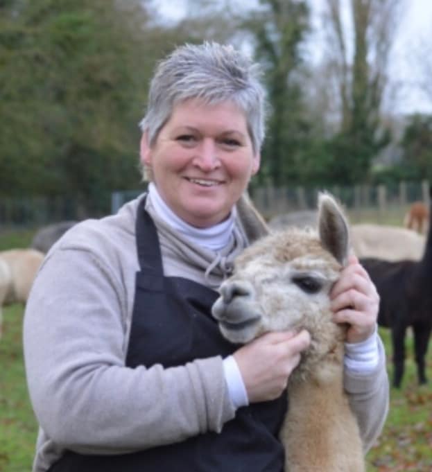 Experience Alpaca